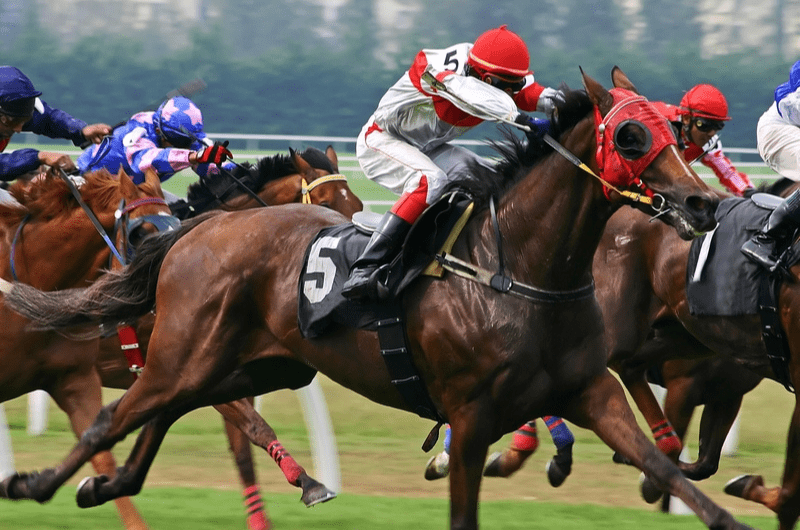 Horse Racing Packages